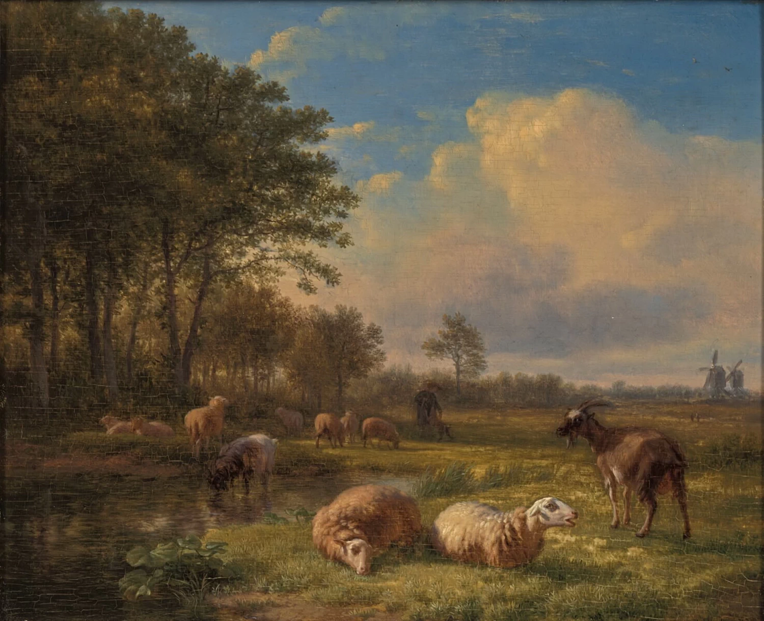 Paesaggio con pecore e capra
